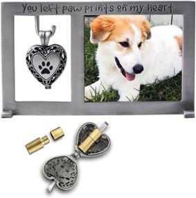 img 4 attached to 🐾 Cathedral Art Abbey & CA Gift Pet Memorial Frame with Vial for Ashes: A Multicolored Tribute