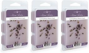 img 4 attached to 🕯️ Artisan Wax Fragrance Melts 3-Pack, Lavender & White Sage - 100% Soy with Hand-Applied Decorative Elements by CANDLE WARMERS ETC