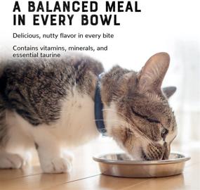 img 3 attached to 🦃 Delicious Turkey Canned Cat Food - 5.5 Oz - Pate Entree for Cats - Nutritious Meal High in Protein and Fiber - Nature's Best Cat Food