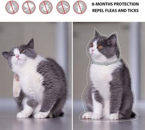 img 3 attached to 🐱 Highly Effective 2 Pack Cat Flea Collar - Repels Fleas & Ticks for 8 Months, Safe & Efficient Tick Collar for Cats