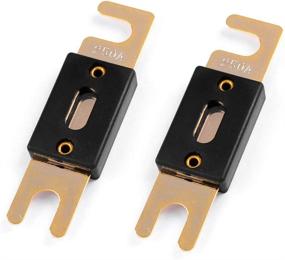 img 2 attached to 💡 Premium LEIGESAUDIO Copper Fuses Plated 250Amp for Exceptional Electrical Protection