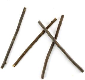 img 2 attached to TKOnline 100Pcs 10cm Wood Log Sticks for DIY Crafts and Photo Props - Craft Sticks, Wood Crafts, 0.1-0.2 inch Diameter, Photo Stick, Wood logs, Wood Craft Sticks