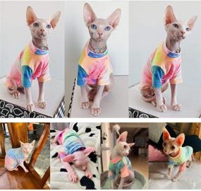 img 1 attached to 🌈 Colorful Bonaweite Hairless Cats Rainbow Rendering T-Shirt: Stylish and Breathable Cat Wear Clothes for Sphynx, Cornish Rex, Devon Rex, Peterbald – Perfect for Spring, Summer, and Autumn!