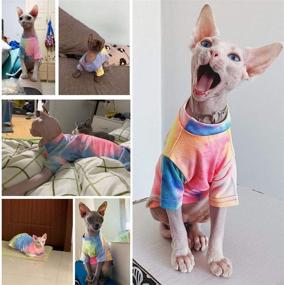 img 2 attached to 🌈 Colorful Bonaweite Hairless Cats Rainbow Rendering T-Shirt: Stylish and Breathable Cat Wear Clothes for Sphynx, Cornish Rex, Devon Rex, Peterbald – Perfect for Spring, Summer, and Autumn!