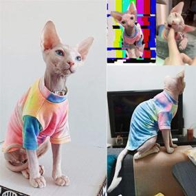 img 3 attached to 🌈 Colorful Bonaweite Hairless Cats Rainbow Rendering T-Shirt: Stylish and Breathable Cat Wear Clothes for Sphynx, Cornish Rex, Devon Rex, Peterbald – Perfect for Spring, Summer, and Autumn!