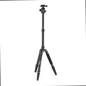 img 2 attached to 📷 NATIONAL GEOGRAPHIC Travel Tripod Kit with Monopod, Aluminum, 5-Section Legs, Twist Locks, 8kg Load Capacity, Carrying Bag, Ball Head, Quick Release, NGTR002T