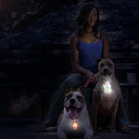 img 3 attached to 🐶 Brilliant Dog Collar Lights with 3 Flashing Modes - Pack of 6, Replaceable Batteries Included