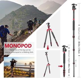 img 1 attached to Новый Карбоновый Фотоаппарат Тренога Монопод: 66 дюймов/168см, 360° Шариковая Голова, Быстрая Подставка, Сумка - Камера DSLR Видеокамера Путешествие и Работа, До 33 фунтов/15 кг загрузка