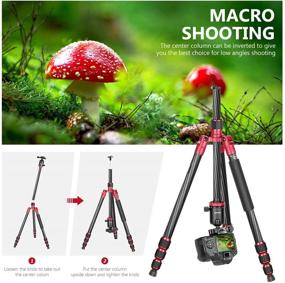 img 3 attached to Новый Карбоновый Фотоаппарат Тренога Монопод: 66 дюймов/168см, 360° Шариковая Голова, Быстрая Подставка, Сумка - Камера DSLR Видеокамера Путешествие и Работа, До 33 фунтов/15 кг загрузка