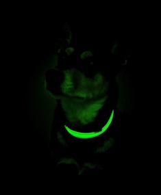 img 2 attached to 🐶 Glow in The Dark Nylon Dog Collar - UVPaqlite: Illuminating Safety for Your Furry Friend