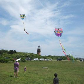 img 1 attached to 🦉 Mint's Colorful Life Owl Bird Kite for Kids & Adults: Ultimate Fun Experience, 30x28'' (Queen)