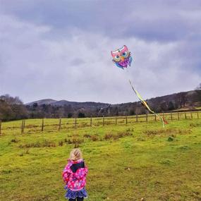 img 3 attached to 🦉 Mint's Colorful Life Owl Bird Kite for Kids & Adults: Ultimate Fun Experience, 30x28'' (Queen)