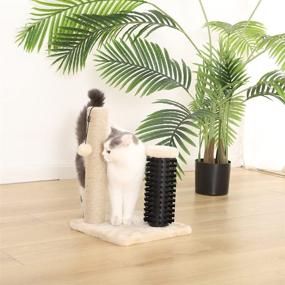 img 3 attached to 🐱 Cat Scratching Post with Toy by Amazon Basics