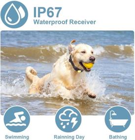 img 1 attached to 🐕 Enhanced 1000ft Remote Rechargeable Waterp- Dog Training Collar: Beep Vibration Shock for Small Medium Large Dogs (15-120 Lbs)