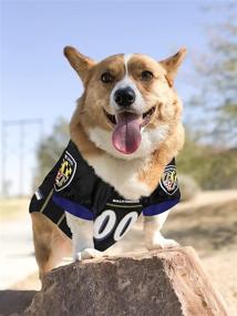 img 2 attached to 🐾 Pet NFL Jersey