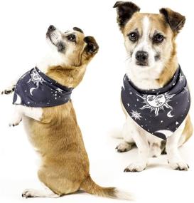 img 4 attached to 🐾 Rogue + Wolf Dog & Cat Celestial Bandana Collar Accessories for Small & Large Pets - Witchy Pet Gifts, Clothes Outfit & Costume Bandanas for Dogs & Cats