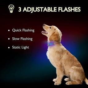 img 2 attached to LED Dog Collar - Available in 3 Colors, 3 Sizes, and 3 Blinking Modes - 100% Water Resistant - Glowing Pet Dog Collar for Night Safety - Fashion Light-Up Collar - Adjustable S/M/L Sizes - Durable Nylon Material