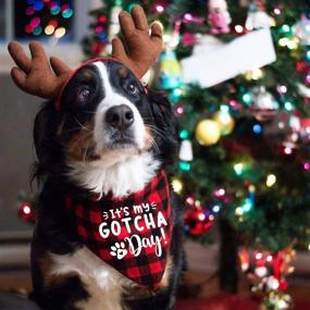 img 2 attached to 🐾 Adorable Red Plaid Pet Bandana Scarf - Perfect Gift for Pet's Gotcha Day or Birthday