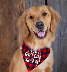 img 3 attached to 🐾 Adorable Red Plaid Pet Bandana Scarf - Perfect Gift for Pet's Gotcha Day or Birthday