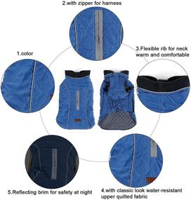 img 1 attached to Pethiy Small Dog Winter Coat - Waterproof & Windproof Reversible Vest for Cold Weather - Warm Dog Outfit