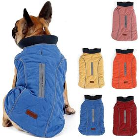 img 4 attached to Pethiy Small Dog Winter Coat - Waterproof & Windproof Reversible Vest for Cold Weather - Warm Dog Outfit