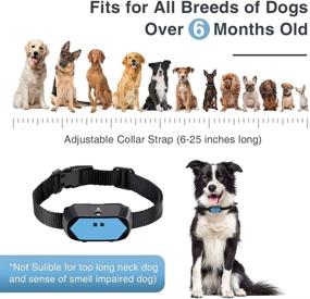 img 3 attached to 🐶 Citronella Bark Collar: Adjustable Sensitivity & Volume, Waterproof Anti-Bark Device - Effective, No-Electric-Shock Training Collar for All Dogs