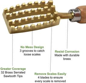 img 2 attached to 🐟 Kwizing Made in Japan: Extra Large Fish Scaler Brush - Effective Fish Scale Removal Tool with Brass Serrated Sawtooth and Ergonomic Wooden Handle - No Fuss, No Mess - Handcrafted by Japanese Artisans