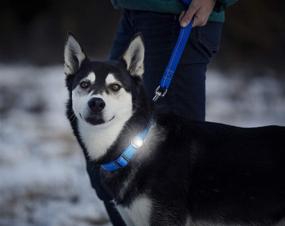 img 1 attached to 🐶 Enhance Visibility and Safety with RC Pet Products Poppin Light Dog Collar Light!