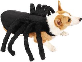 img 2 attached to 🕷️ Halloween Spider Costume: A Spooky Cosplay Outfit for Dogs and Cats with Adjustable Velcro Accessories