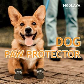 img 3 attached to HOOLAVA Anti Slip Reflective Protectors Pavement Dogs