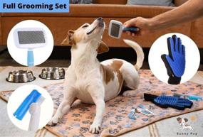 img 2 attached to 🐶 25 PC Starter Kit for Puppy/Small Dogs - Essential Items for New Dog Owners - Grooming Tools, Training Supplies, Toy Bundle by Sunny Pup
