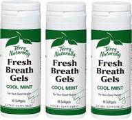 🌬️ terry naturally fresh breath gels (3 pack) - cool mint flavor, sugar-free breath mints - chemical-free, non-gmo & gluten-free - 135 servings logo