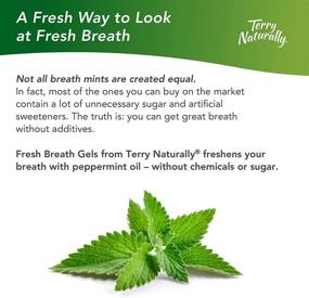 img 2 attached to 🌬️ Terry Naturally Fresh Breath Gels (3 Pack) - Cool Mint Flavor, Sugar-Free Breath Mints - Chemical-Free, Non-GMO & Gluten-Free - 135 Servings