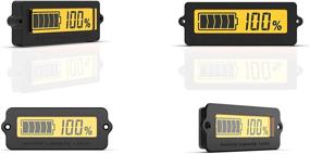 img 4 attached to DWZ Capacity Indicator Universal Electric