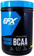 🍋 efx sports лимонный bcaa порошок, 500г - оптимальное дополнение для тренировок логотип