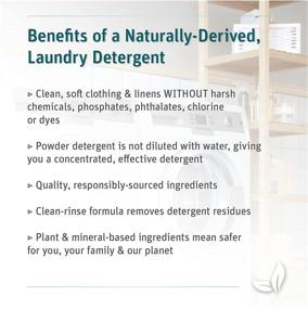 img 1 attached to 🍃 Grab Green 3-in-1 Laundry Detergent Powder: Superior Cleaning Power, 100 Loads, Water Lily Scent, Plant & Mineral Based, Stain Remover, Brightens Clothes, 4lbs