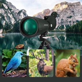 img 2 attached to 🔭 SINSTNER HD Spotting Scope: Zoom Scope with Cell Phone Adapter, Tripod, Carrying Bag - Perfect for Target Shooting, Stargazing, Bird Watching, Hunting