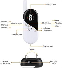 img 3 attached to 🔌 Rechargeable Shock Collar for 3 Dogs - Efficient Training Device with Multi Modes - Waterproof Bark Collar for Medium and Large Dogs