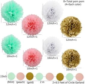 img 2 attached to 🎀 Mint Baby Pink White Gold Tissue Pom Poms Paper Flowers Ball Tassel Garland: Perfect Decorations for Heartfelt Bridal Showers, Mint Themed Parties, Birthdays, Baby Showers, Weddings, and Nurseries