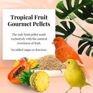 lafebers tropical human grade ingredients canaries logo
