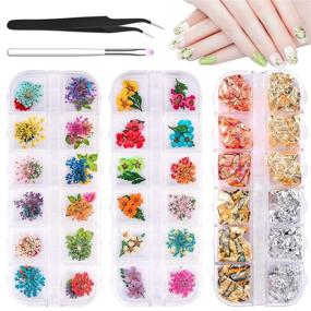 img 4 attached to 🌸 Dried Flowers Nail Art: Enhance Your Nail Designs with 24 Mini Real Dry Flowers & Foil Nail Chips (2 Boxes)