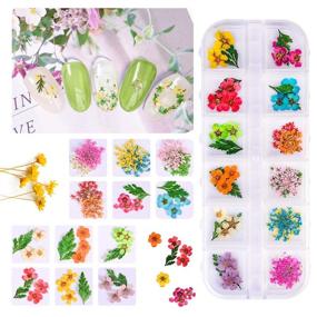 img 2 attached to 🌸 Dried Flowers Nail Art: Enhance Your Nail Designs with 24 Mini Real Dry Flowers & Foil Nail Chips (2 Boxes)