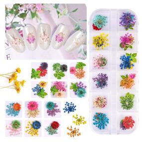 img 3 attached to 🌸 Dried Flowers Nail Art: Enhance Your Nail Designs with 24 Mini Real Dry Flowers & Foil Nail Chips (2 Boxes)