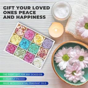 img 2 attached to 🚿 Floroma Aromatherapy Shower Steamers: Indulge in Relaxation with 12x Variety Set of Shower Bombs & Essential Oils. Perfect Gift for Women Who Have Everything. Elevate Your Home Spa Experience with Shower Steamer Tablets (Fizzies).