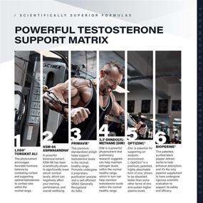 img 1 attached to 💪 Kaged Muscle Ferodrox Testosterone Booster - Enhanced Formula with LJ100 Tongkat Ali and KSM-66 Ashwagandha - Supports Testosterone Levels, 60 Count (Pack of 1)