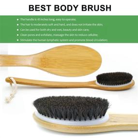 img 3 attached to 🧽 Dry Brushing Body Brush with 18" Long Handle - Soft Horse Bristles for Cellulite and Lymphatic Massage - Exfoliating Skin, Wet & Dry Brushing - Loofah Back Scrubber Set for Women and Men - Ultimate Skin Care