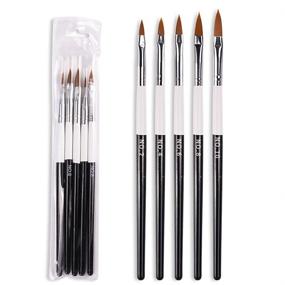 img 3 attached to 🌸 WOKOTO 5 Pcs Professional Acrylic Nail Brushes Kit for Precise Flower Nail Painting & UV Gel Application - Includes Acrylic Brush Pen for Nail Carving (2/4/6/8/10#)