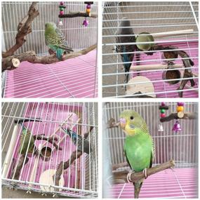 img 1 attached to 🐦 OSWINMART 2Pcs Natural Raw Grape Branch Bird Perches - Ideal Paw Climbing & Chewing Stand for Parrot Cages - Safe & Odorless Parakeet Toy