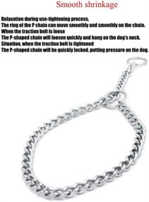 img 1 attached to 🐕 Adjustable Stainless Steel Chain Slip Collar: Ideal Training Tool for Small to Large Dogs