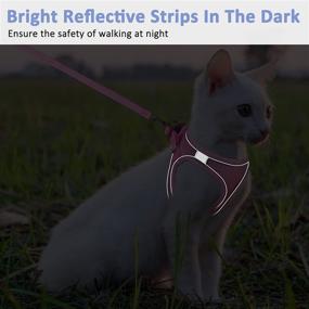 img 1 attached to 🐱 Escape-Proof Reflective Mesh Cat Vest - Comfortable, Lightweight Leash and Harness for Outdoor Walks